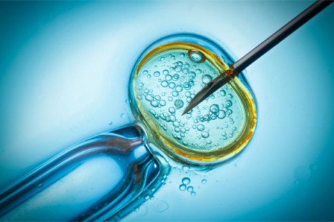 http://zhuhai.qqkaixin.com/post/199.html|珠海供卵助孕