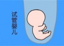 珠海代怀孕初期孕酮值为13ngml，医生说偏低，那正常值是多